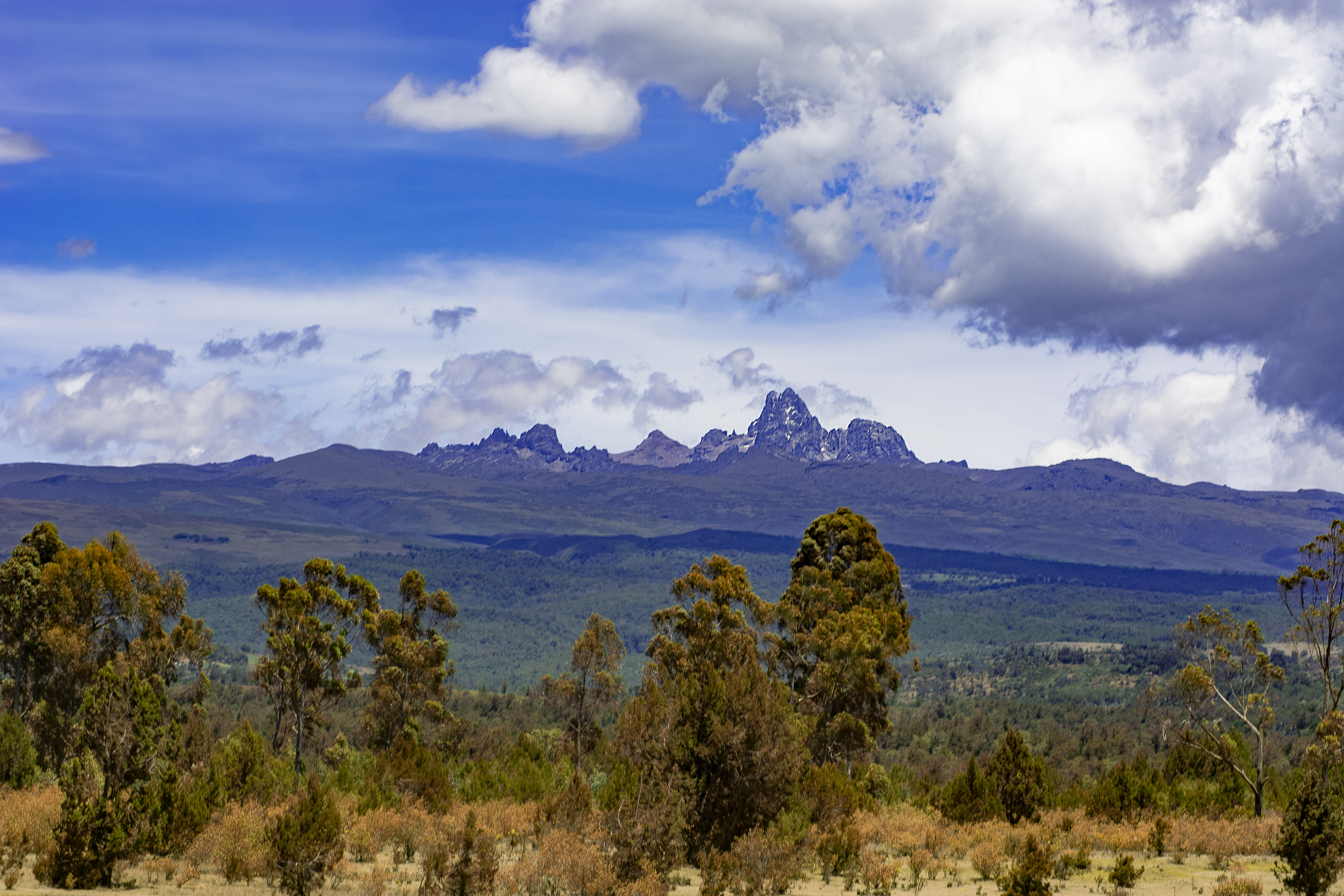 Slopes of Mt. Kenya